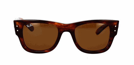 Descubra o Estilo Extraordinário dos Óculos de Sol RayBan Mega Wayfarer