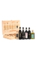 Combo Vinhos Premium Vini Italiani (5 garrafas)