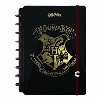 CADERNO INTELIGENTE MEDIO 75739-24 - HARRY POTTER - UN - JANDAIA