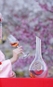 Decanter Riedel Sakura