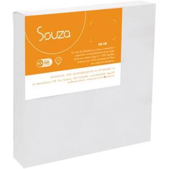 TELA PARA PINTURA 8303 - 20x20 - UN - SOUZA