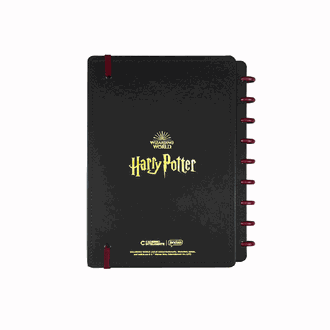 CADERNO INTELIGENTE MEDIO 75739-24 - HARRY POTTER - UN - JANDAIA
