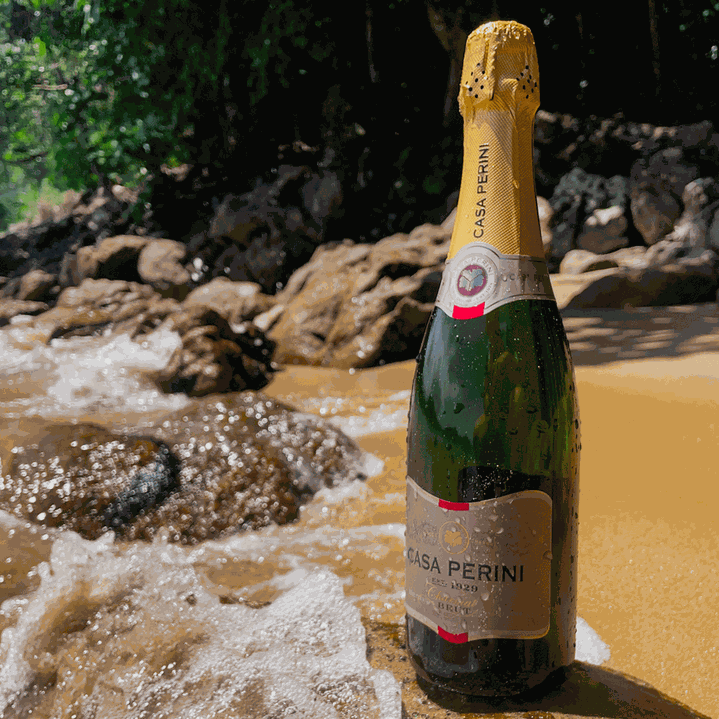 ESPUMANTE BRUT (750ML)-CASA PERINI - 3