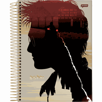CADERNO UNIV CAPA DURA 10X1 200FLS - HARRY POTTER - UN - JANDAIA
