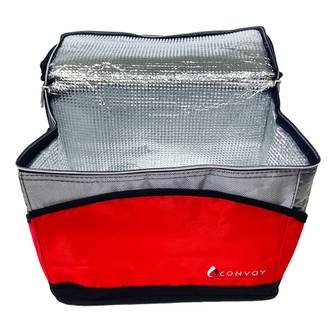 BOLSA TERMICA 15L - CO10009 - CORES SORTIDAS - UN - YINS