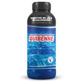 REDUTOR DE PH 1lt QUIBENNE
