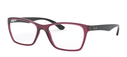 ARMACAO RAY BAN RX7033L 5445