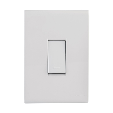 CONJUNTO 4X2 COM 1 INTERRUPTOR SIMPLES TRAMONTINA LIZ 10 A 250 V BRANCO BRANCO