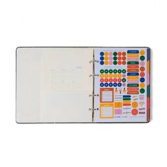 CADERNO ARGOLADO CLASSICA 17X24 / CISNE FLORAL VERDE - UN - CICERO