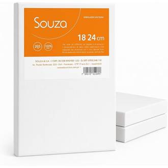 TELA PARA PINTURA 8302 - 18X24 - UN - SOUZA